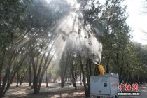 北京：多措并举治理致敏花粉