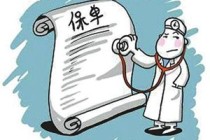 如何准确判断保单真假？保单真假判断有哪些方法？