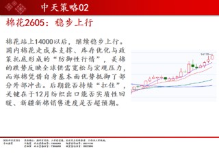 中天期货:棉花稳步上行 螺纹小调整