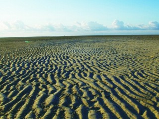 如何计算土地相关经济价值？计算过程中有哪些关键要点？