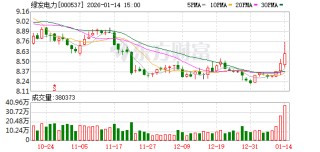 绿发电力：目前公司正积极推进“十四五”收官及“十五五”规划编制工作