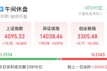超30亿元资金封板，002931，强势11连板！微电网利好政策密集发布，上市公司积极布局