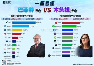 巴菲特持仓 VS 木头姐持仓！投资以稳健和龙头为主250日收益率12.55%，投资成长股的代表250日收益率94.58%