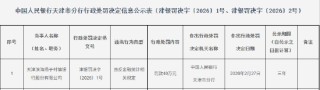 天津滨海扬子村镇银行被罚40万元：违反金融统计相关规定