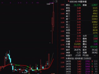 罕见！600340，4连板后现巨震，连续2天“准地天板”！