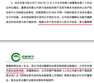 刚扭亏就欲“蛇吞象”？中能电气超8亿元跨省收购三家电企背后