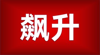 如何理解股票发行要素？股票发行要素对市场有何影响？