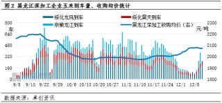 “玉”你同行：12月下半月东北玉米深加工成本存压、需求有利