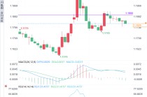 欧央行“换帅”添新愁，继任者是鹰是鸽？
