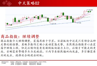 中天期货:商品指数继续调整 白银回落