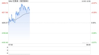 1203黄金点评：隔夜贵金属涨跌不一，黄金维持高位震荡