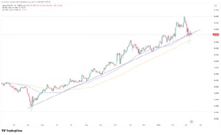 战火未平关税风波又起？强势美元令黄金承压