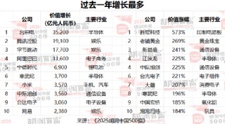 2025胡润中国500强发布：小米价值增长3570亿首次进入前十