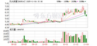 杉杉集团重整现新玩家 方大炭素有意参与