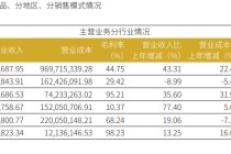 华安证券业绩“虎头蛇尾” Q4营收净利同比环比皆大降 IPO收入“脉冲式”上升背后股权储备项目为0
