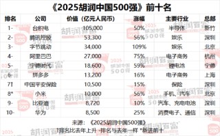 外卖补贴战挤压核心利润，2025胡润中国500强美团价值下降最多