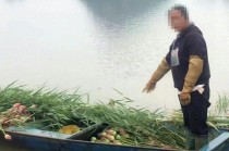 云南一景区禁止采摘野生荷花：违法行为破坏了生态平衡