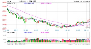 年度总结：2025年猪价震荡下滑后翘尾，2026是否曙光将至