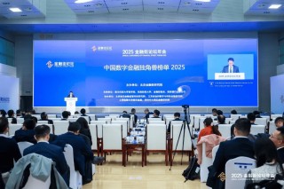 金融街论坛年会发布《中国数字金融独角兽榜单（2025）》，凯美瑞德上榜！