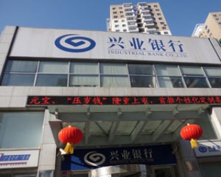 银行信用类产品适合新手吗？