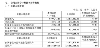 A股突发！600608，被证监会立案！