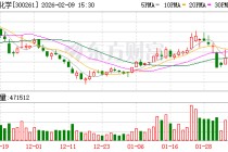 雅本化学：不存在逾期担保和涉及诉讼担保的情形