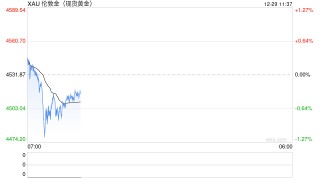 贵金属上演“狂飙”大戏，“牛市”行情能否跨年