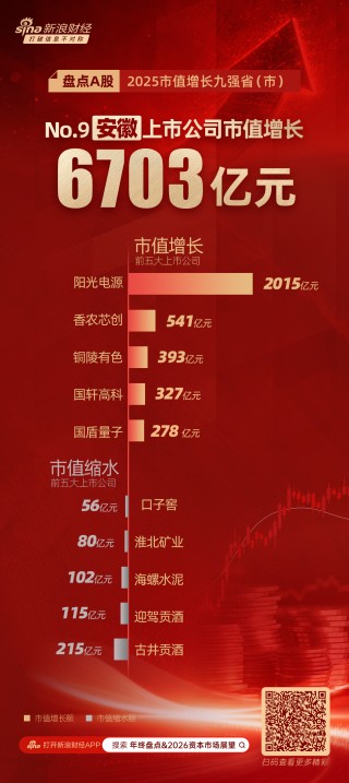 A股2025市值增长九强省盘点：安徽省三成市值增长依赖阳光电源 表现欠佳的五家企业中三家主营白酒