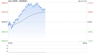 世界黄金协会美洲区CEO解读2026年金价新逻辑：地缘风险成首要因素，全球央行连续16年净买入