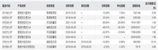 摩根基金杨景喻：十年如一的“老菜鸟”  公募新规让滥竽充数者无处遁形