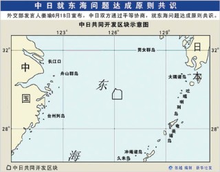 如何有效认知东海期货期权的特点？这些特点对交易策略有何影响？