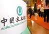 如何在银行办理银行卡的挂失和密码修改同步申请及流程查询？