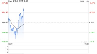 美银看好黄金2026上探5000美元，白银或飙至309美元历史高位