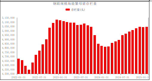 生猪供应充裕背景下 期价短期低位震荡  第19张