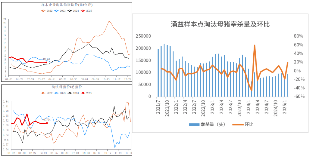 生猪供应充裕背景下 期价短期低位震荡  第20张