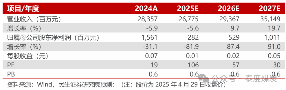 【民生能源】永泰能源2024年年报与2025年一季报点评：电力业务稳健运行，继续回购回报投资者  第1张