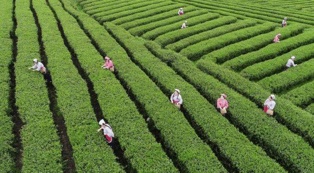 贵州日报:奋力在中国式现代化进程中展现“六个贵州新风采” 第7张 贵州日报:奋力在中国式现代化进程中展现“六个贵州新风采” 第7张