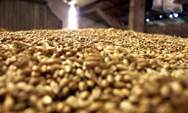 豆粕的定义是什么?豆粕的市场供应情况如何? 第1张 豆粕的定义是什么?豆粕的市场供应情况如何? 第1张