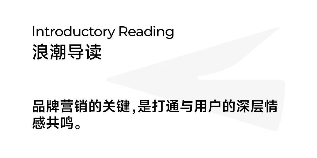 品效双赢:拆解自由点高铁卫生巾项目背后的品牌破局之道 第2张 品效双赢:拆解自由点高铁卫生巾项目背后的品牌破局之道 第2张