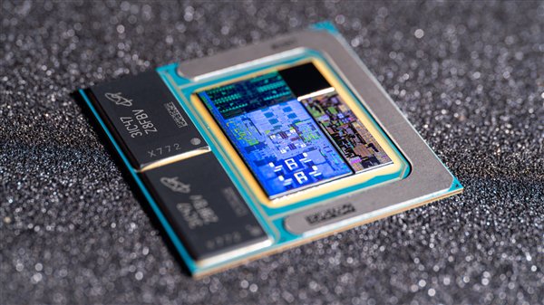 近1.5亿像素!Intel Lunar Lake处理器超高清内核照 第15张 近1.5亿像素!Intel Lunar Lake处理器超高清内核照 第15张
