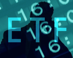 如何确定期权的权利金数额？这一数额的确定依据是什么？  第1张