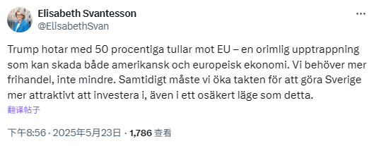 瑞典财政部长：特朗普对欧盟的关税是不合理行为  第1张