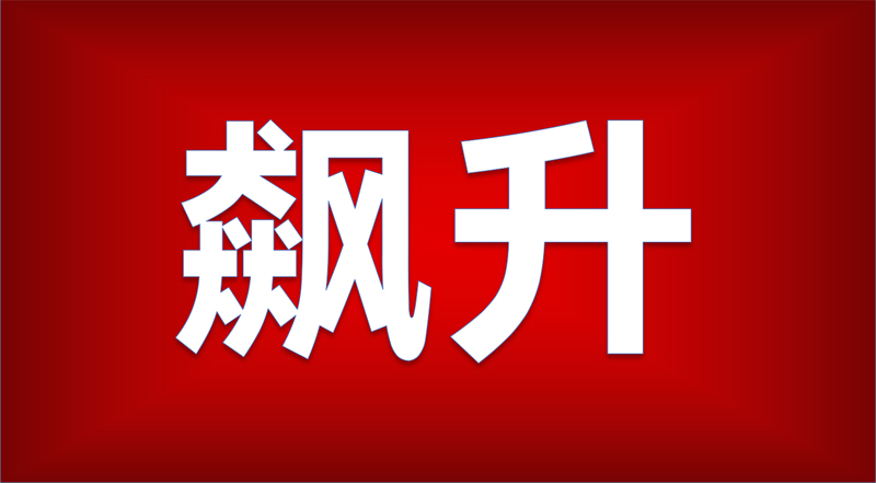 如何理解股票发行要素?股票发行要素对市场有何影响? 第1张 如何理解股票发行要素?股票发行要素对市场有何影响? 第1张