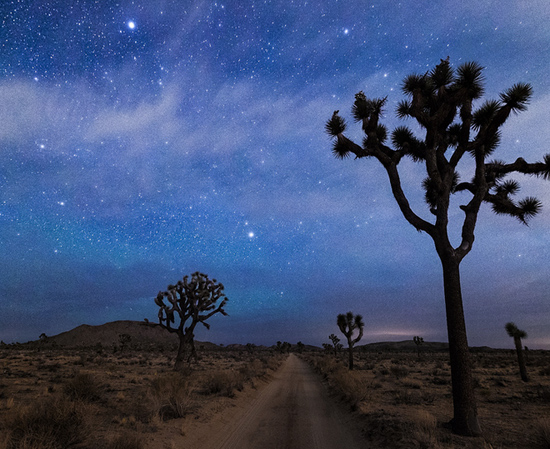 安畅星导航质量怎样?使用效果如何? 第1张 安畅星导航质量怎样?使用效果如何? 第1张