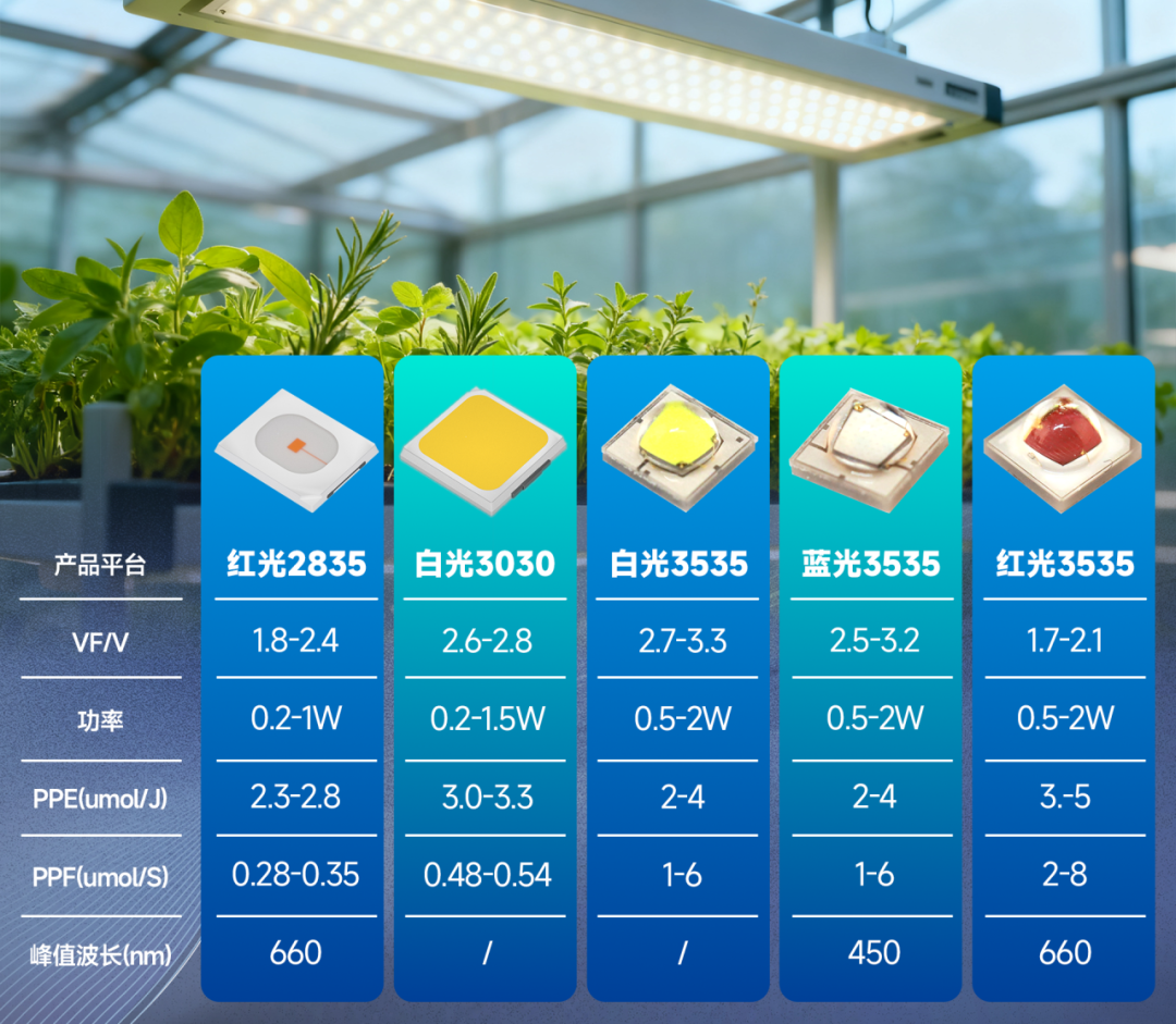 国星光电“智耕之星”AI种植生态系统震撼上市 第1张 国星光电“智耕之星”AI种植生态系统震撼上市 第1张