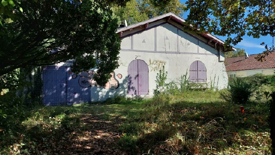 房东们的噩梦?在欧洲强占房屋真的有理么?|欧洲观察 第3张 房东们的噩梦?在欧洲强占房屋真的有理么?|欧洲观察 第3张