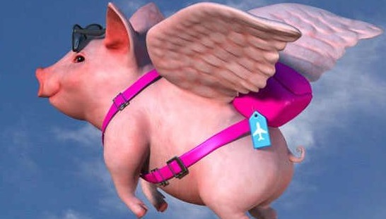 投资前了解风控机制有多重要? 第1张 投资前了解风控机制有多重要? 第1张