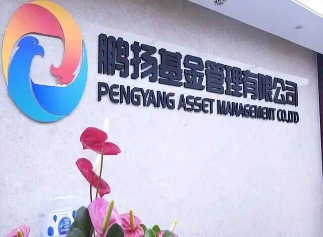 鹏扬基金债强股弱，任职超十年老将领衔的权益团队无人抗打？  第1张