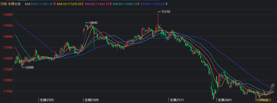 生猪市场盘点：“旺季不旺”背后的行业激变  第3张