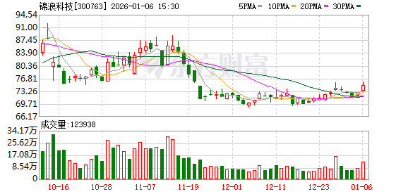 锦浪科技：公司已将储能系统整体优化作为核心战略方向  第1张